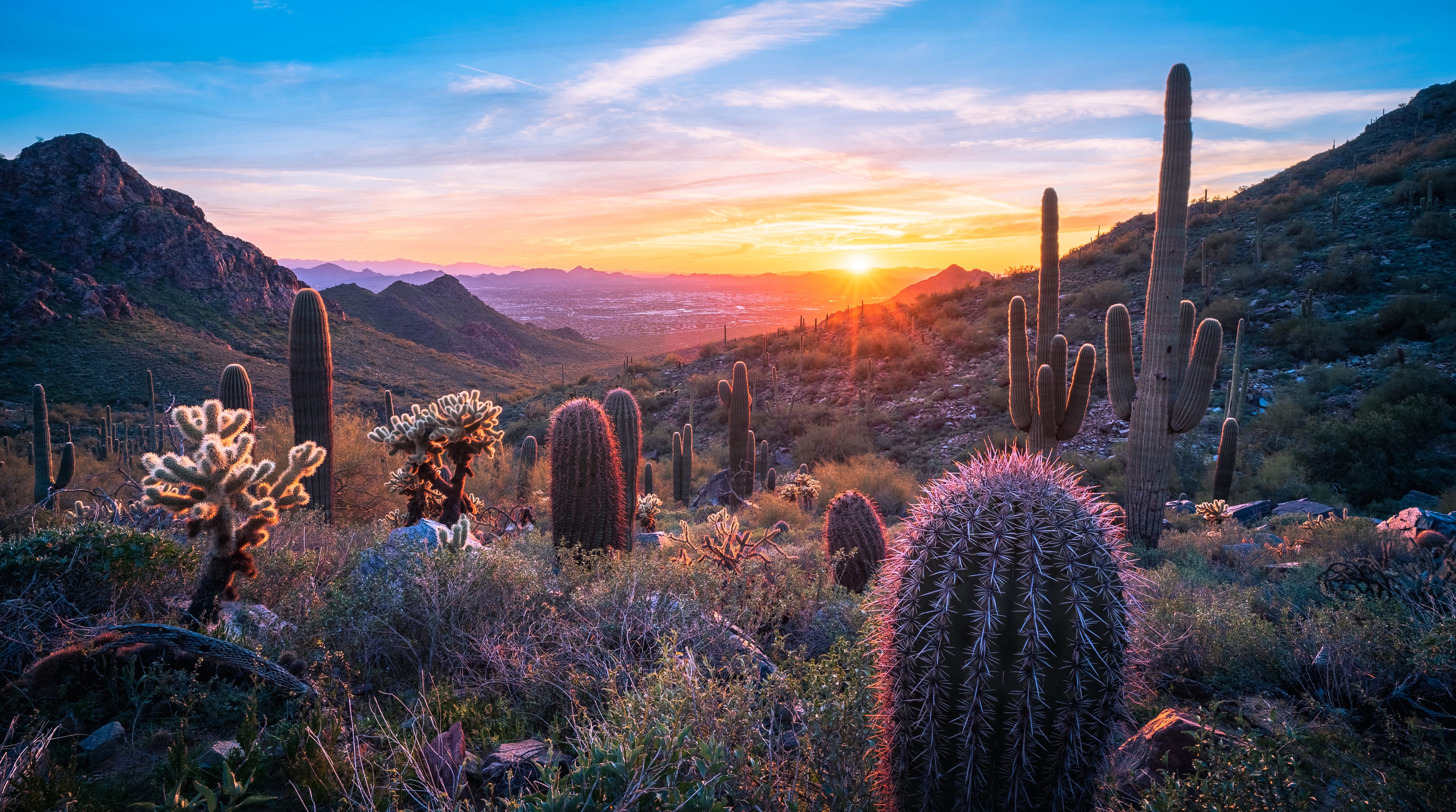 desert landscape at sunset